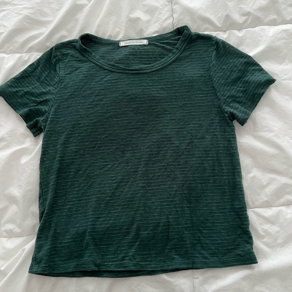 Caution To The Wind Green Striped Shirt